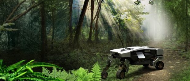 tiger-concept-in-forest-1612909911