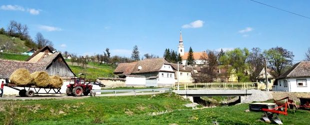 Criț