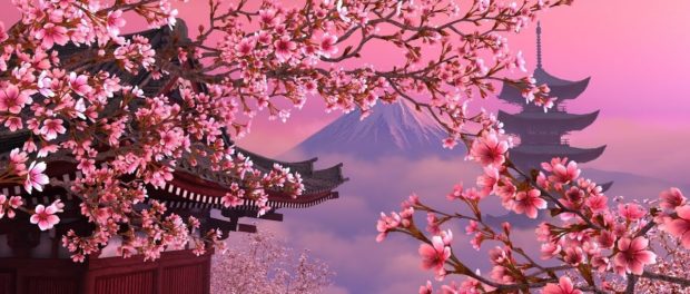 sakura1