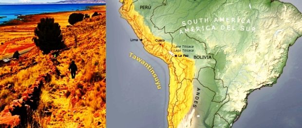 INCA