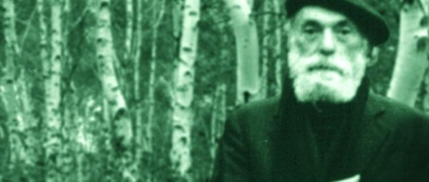nicolae steinhardt