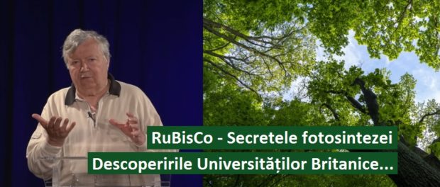 Rubisco secretele forosintezei