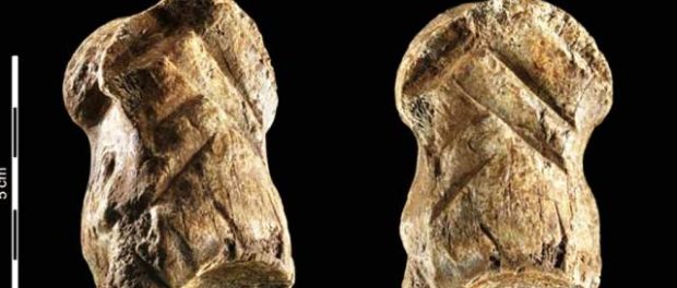 neandertal
