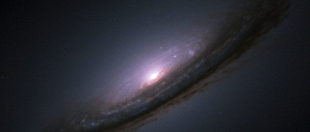Supernova 1994D