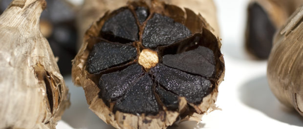 usturoi negru