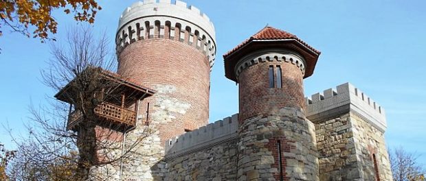 Castelul_Vlad_Țepeș_din_București-_Vedere_din_Parcul_Carol_I_(2)