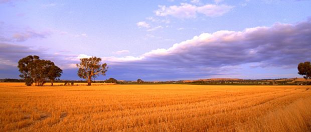 australia