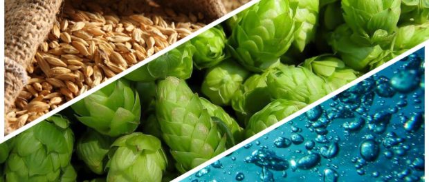 sanatate si nutritie