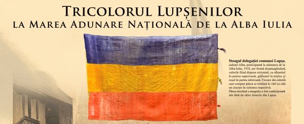steag Lupșa