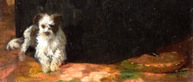 catelus