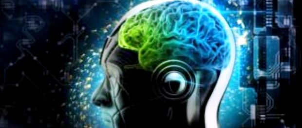 inteligenta