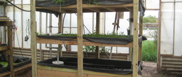 agricultura