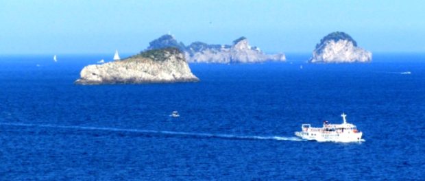 delfin1
