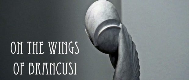 film brancusi