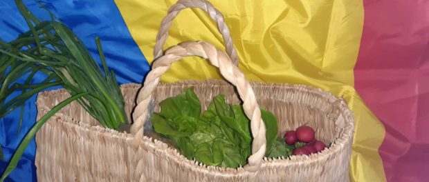 Papornita-MOSULUI-papornita-lui-Nea-Marin-0