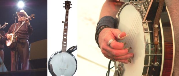 bluegrass