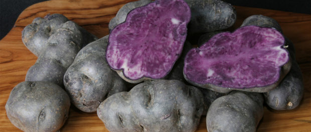 Vitelotte cartof