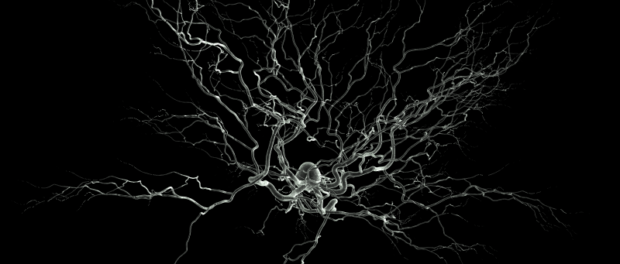 neuroni 1