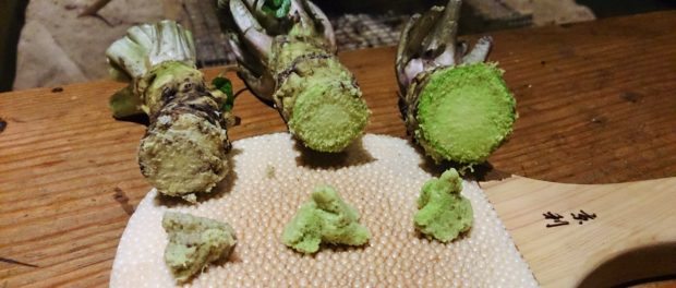 Wasabi2