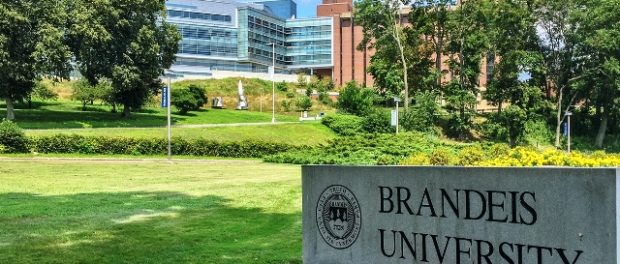 Brandeis University sign