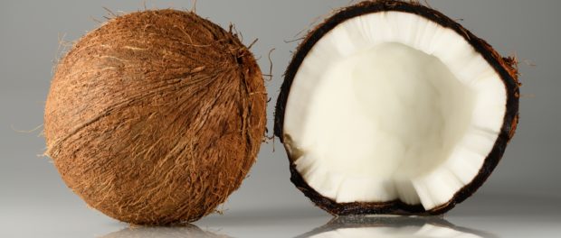 nuca cocos