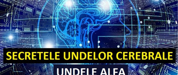 Undele Alfa 1