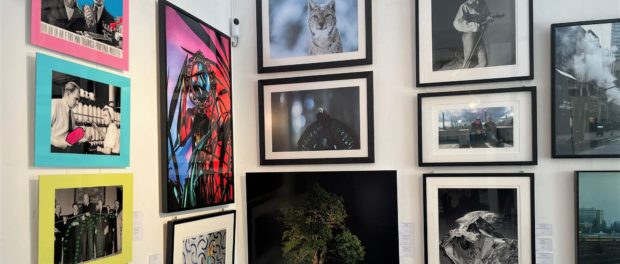 Expoziția de Fotografie la Palatul Cesianu-Racoviță