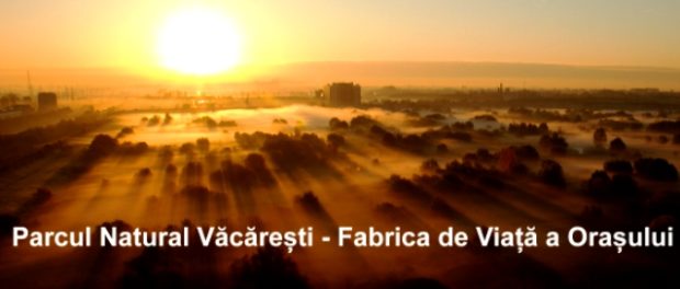 Fabrica parcul Vacaresti