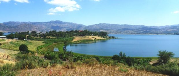Statul amhara