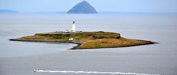 pladda