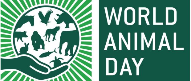 ziua mondiala a animalelor