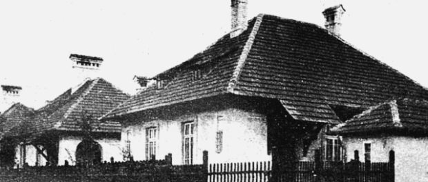 orasul gradina
