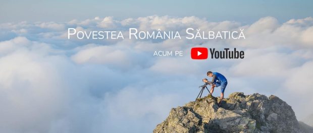 romania salbatica