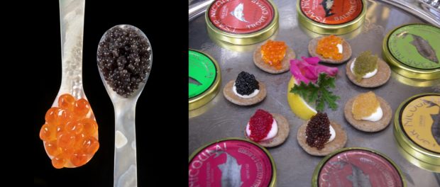 Caviar
