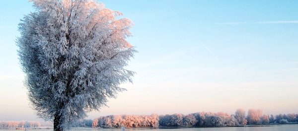 ianuarie peisaj