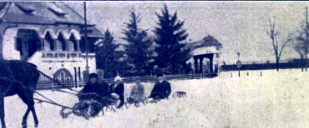 zapada vila minovici