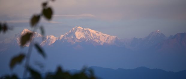 vederi Himalaya