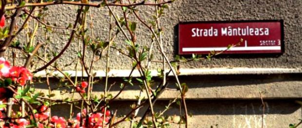 Strada Mantuleasa