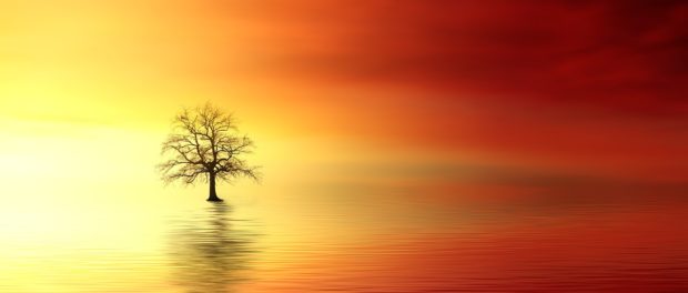 sunset Pixabay