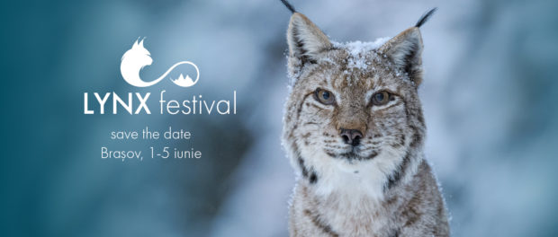festival lynx romania salbatica