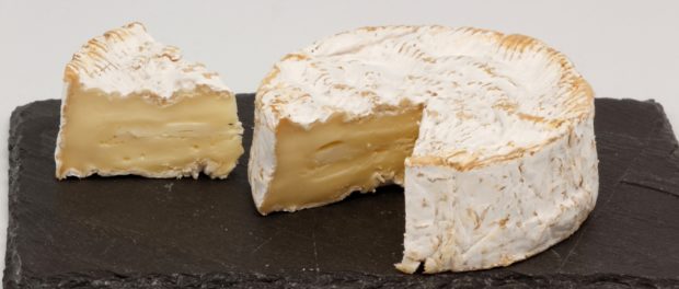 Camembert