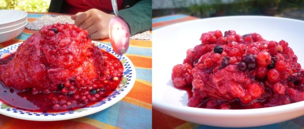 budinca de vară