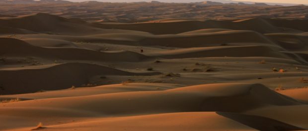 Orasul de la margine desertului1