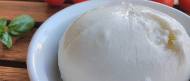branza burrata