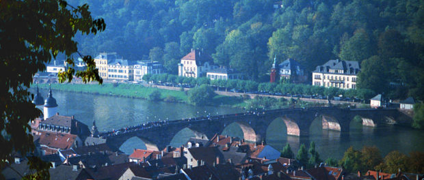 lac heidelberg
