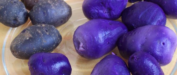 cartof albastru-violet