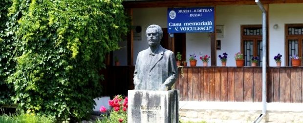 Bust-V asile Voiculescu