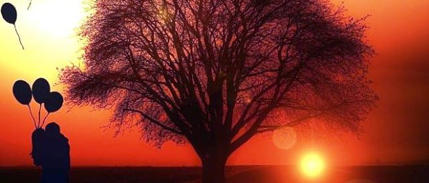 tree-1894217_640