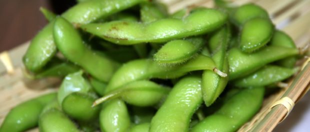 Edamame1
