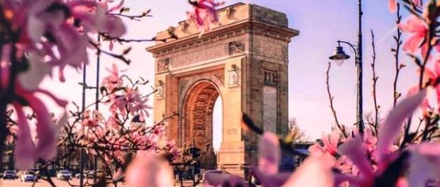 magnolii arcul de triumf bucuresti